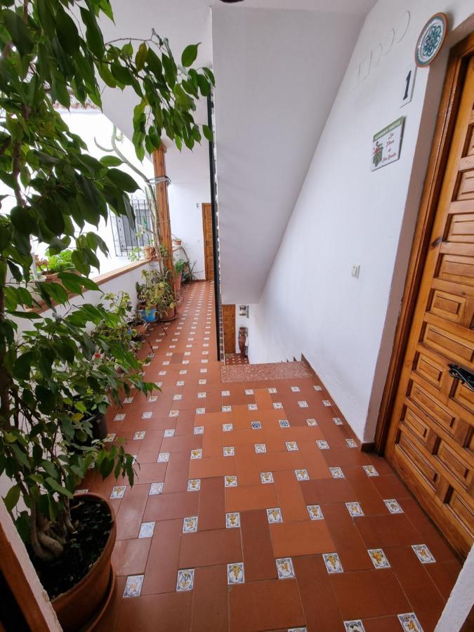 Apartamento Entre Patios San Basilio Apartment Кордоба Екстериор снимка