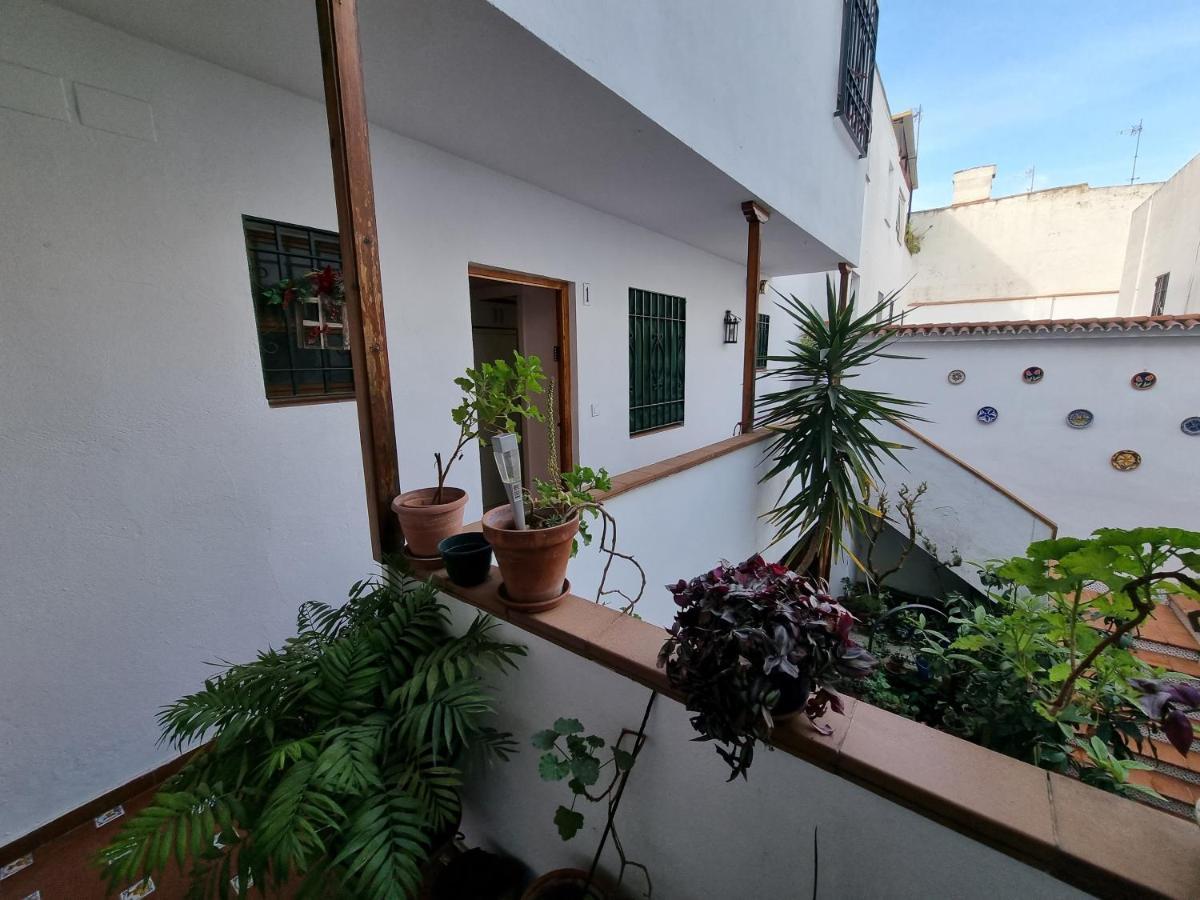 Apartamento Entre Patios San Basilio Apartment Кордоба Екстериор снимка